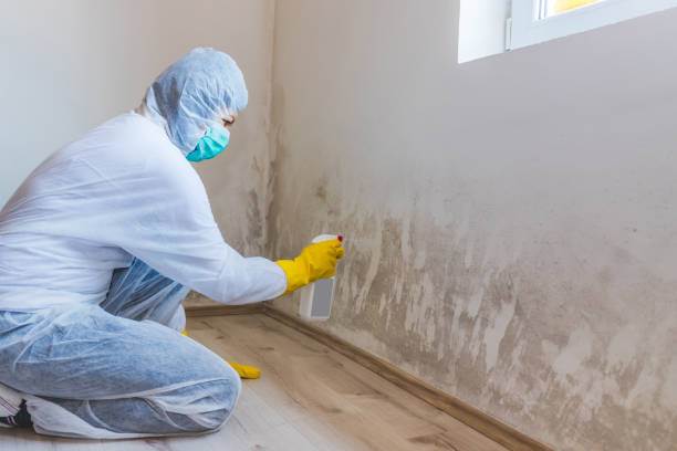 Commercial Mold Remediation assessment for commercial property in Longmont